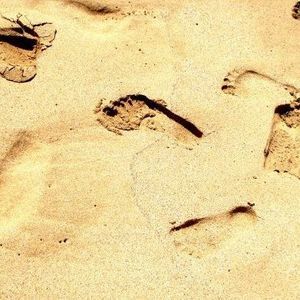 Meet your Posher, Krissy